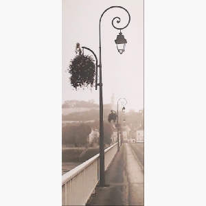 Pont de Chinon