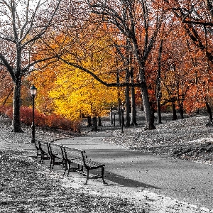 Beau parc d'automne