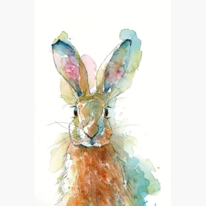 Hare Portrait